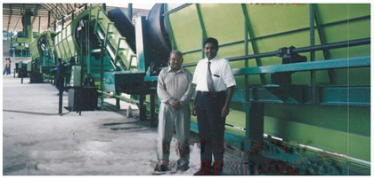 Sri Lanka Plant (Export)